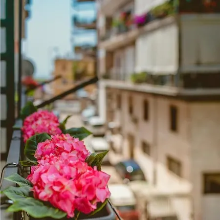 Sofia's * Naples